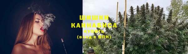 тгк Бородино
