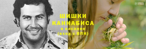 ПСИЛОЦИБИНОВЫЕ ГРИБЫ Сосновка