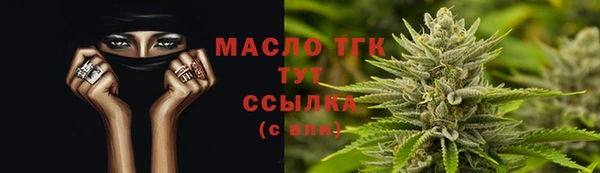 тгк Бородино