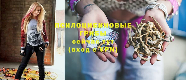 Альфа ПВП Бугульма