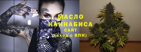 тгк Бородино