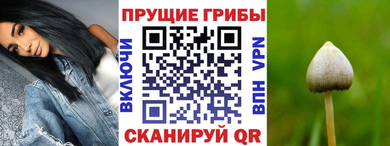 что такое наркотик  Добрянка  Псилоцибиновые грибы Magic Shrooms 